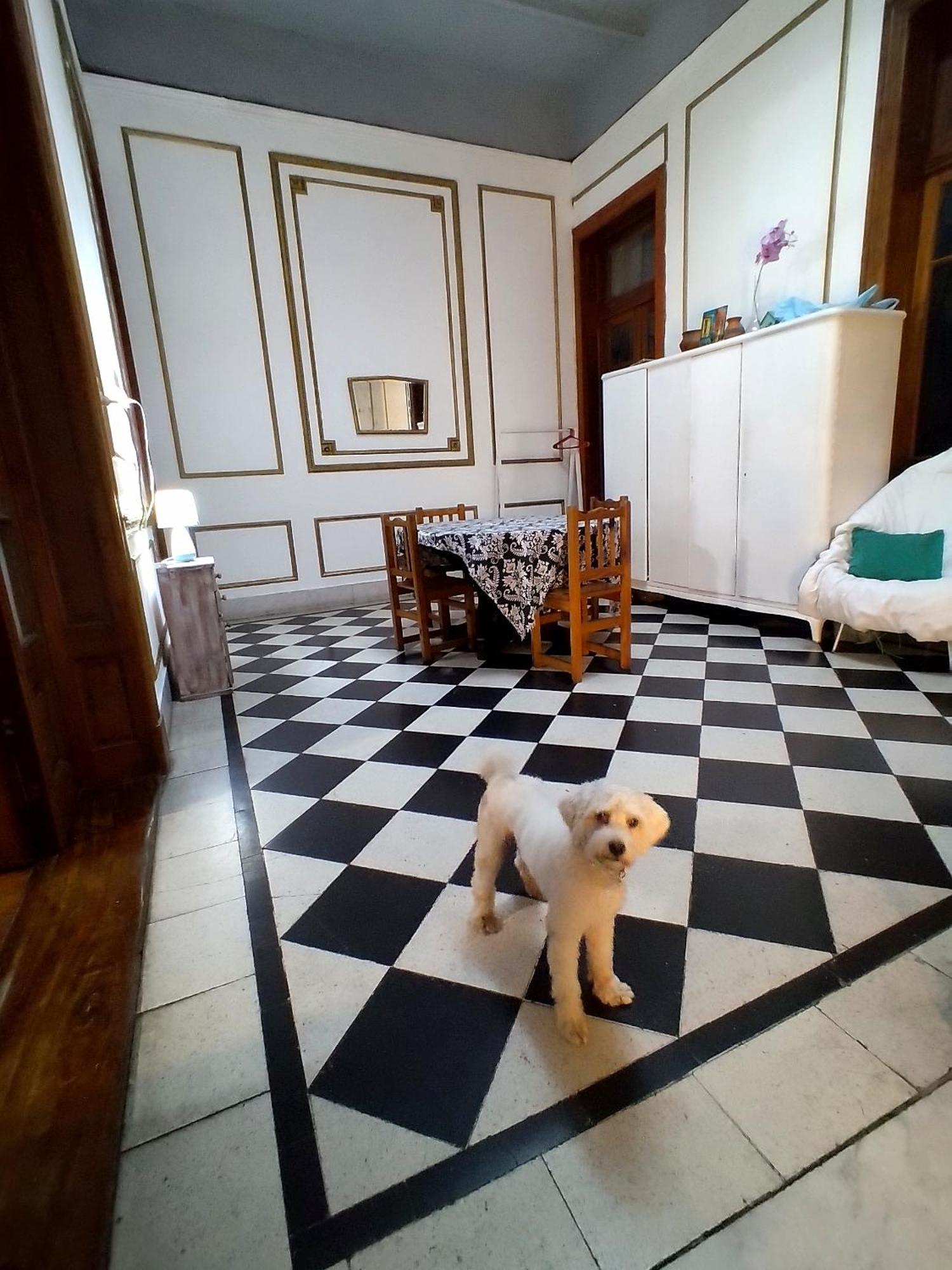 Dante Y Compania Hostel Buenos Aires Ngoại thất bức ảnh